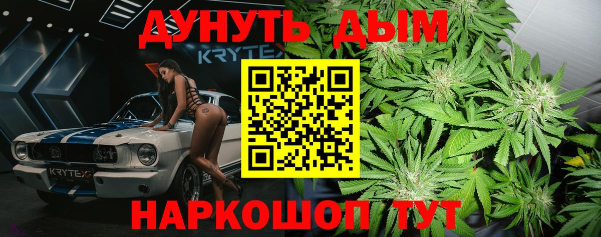 Шишки марихуана планчик  Вход с VPN  Орёл  Марихуана сатива  Шишки марихуана Bruce Banner 
